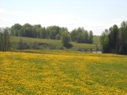 post-4170-0-88458300-1306402181_thumb.jp