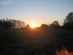 post-4170-0-95491400-1306401922_thumb.jp