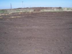 post-4269-0-44542000-1304927064_thumb.jp