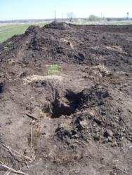 post-4269-0-50987200-1304927614_thumb.jp