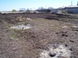 post-4269-0-54315100-1304927223_thumb.jp