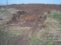 post-4269-0-56349200-1304927158_thumb.jp