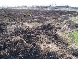 post-4269-0-74954100-1304927037_thumb.jp