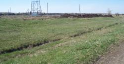 post-4269-0-81030200-1304927004_thumb.jp