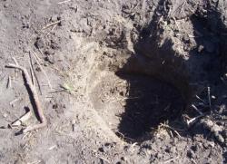 post-4269-0-94633200-1304927391_thumb.jp