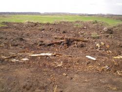 post-4632-0-05259900-1304257422_thumb.jp