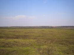 post-4632-0-16651200-1304257220_thumb.jp