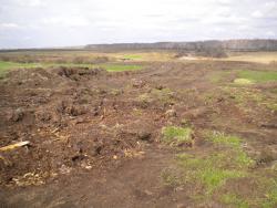 post-4632-0-27581600-1304257414_thumb.jp