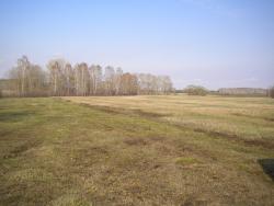 post-4632-0-50049700-1304344695_thumb.jp