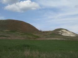 post-4855-0-06417600-1304685145_thumb.jp