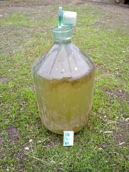 post-4989-0-02219000-1304446249_thumb.jp