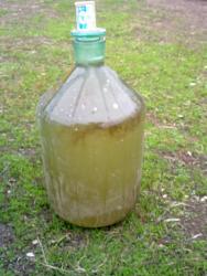 post-4989-0-88696500-1304446178_thumb.jp