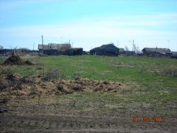 post-5126-0-04578900-1304272449_thumb.jp