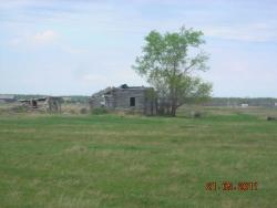 post-5126-0-05783100-1306739475_thumb.jp