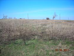 post-5126-0-30747700-1304272374_thumb.jp