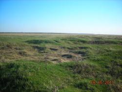 post-5126-0-49774800-1306739419_thumb.jp