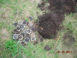 post-5126-0-64867600-1305996716_thumb.jp