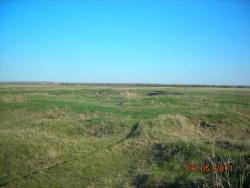 post-5126-0-71813000-1306739444_thumb.jp