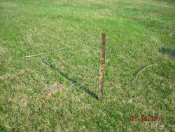 post-5126-0-82987800-1304318798_thumb.jp