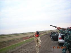 post-5126-0-93145100-1304271599_thumb.jp