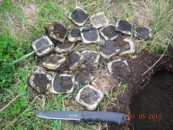 post-5126-0-99695200-1305996694_thumb.jp