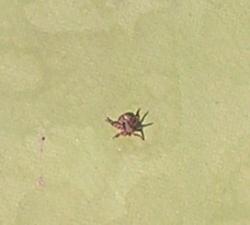 post-5279-0-62552900-1304351907_thumb.jp