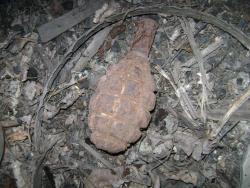 post-5496-0-38155200-1306678379_thumb.jp