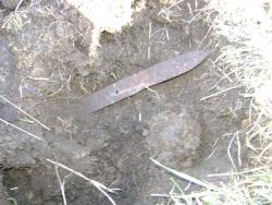 post-5496-0-86079600-1305133101_thumb.jp