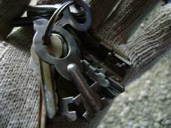 post-5496-0-94845600-1306768547_thumb.jp