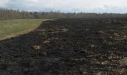 post-6368-0-08328300-1305047891_thumb.jp