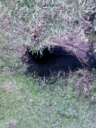 post-6527-0-97738700-1306322080_thumb.jp