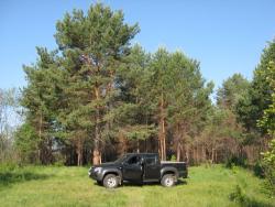 post-6726-0-65424100-1306412350_thumb.jp