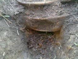 post-6794-0-07107000-1305293397_thumb.jp