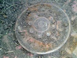 post-6794-0-58842300-1305293406_thumb.jp