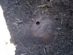 post-1023-0-26469900-1338304138_thumb.jp