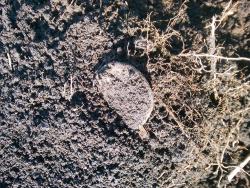 post-1023-0-28749200-1337708337_thumb.jp