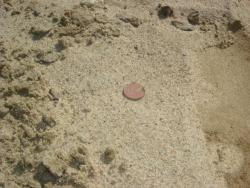 post-10462-0-70693800-1337250173_thumb.j