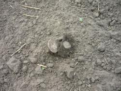 post-10470-0-16963700-1338111047_thumb.j