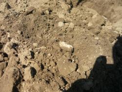 post-10470-0-69400500-1338111055_thumb.j