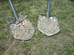 post-10470-0-76388300-1338111063_thumb.j