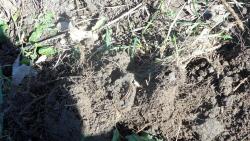 post-11080-0-01918600-1336667625_thumb.j