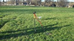 post-11080-0-27858800-1336667857_thumb.j