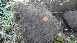 post-11080-0-34363600-1336667355_thumb.j