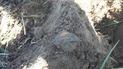 post-11080-0-66346000-1336667663_thumb.j