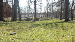 post-11080-0-72430000-1336666996_thumb.j