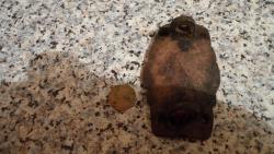 post-11080-0-83827400-1337115969_thumb.j