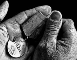 post-11611-0-43253800-1336530427_thumb.j