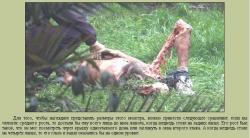 post-11710-0-60504800-1336907508_thumb.j