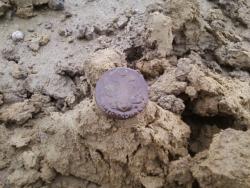 post-1580-0-12232400-1336490834_thumb.jp