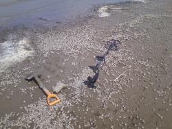 post-1580-0-59366400-1336490647_thumb.jp